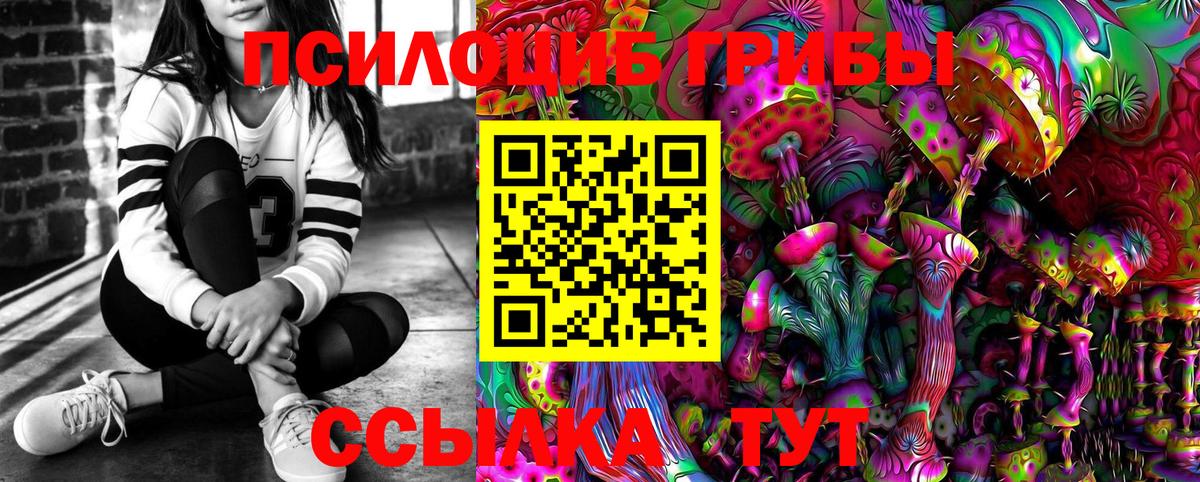 Кашира  Псилоцибиновые грибы мицелий  Вход с VPN 