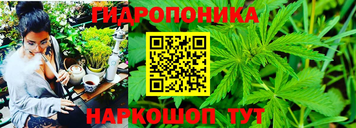 Каннабис тримм  Конопля сатива  Кашира  Вход с VPN  Конопля сатива 